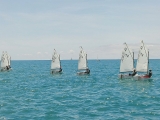 92 Optimist al Trofeo Radeglia